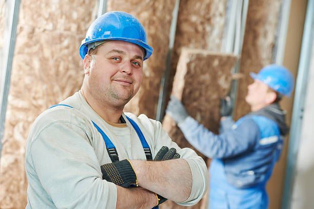 Best Eco-Friendly Insulation in Savoy, IL