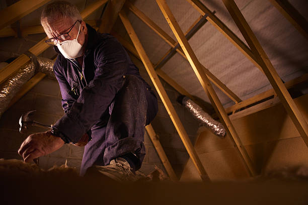 Best Residential Insulation in Savoy, IL