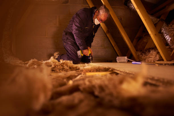 Best Geographic-Specific Insulation Services in Savoy, IL