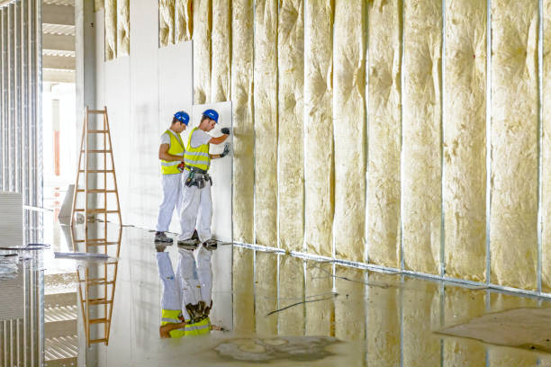 Types of Insulation We Offer in Savoy, IL